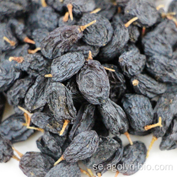 Söt smak svart russin torkade druvor fröslös raisin